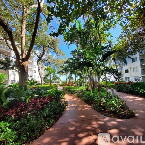 A walkway with trees and plants on either side.