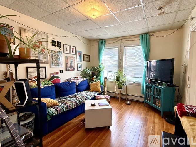 14 Craigie St 2 Beds Apartment for Rent - Photo gallery 1