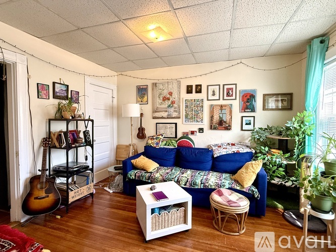 14 Craigie St 2 Beds Apartment for Rent - Photo gallery 3