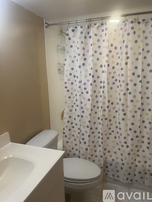810 Ashton Street 3 Beds Apartment for Rent - Photo gallery 5