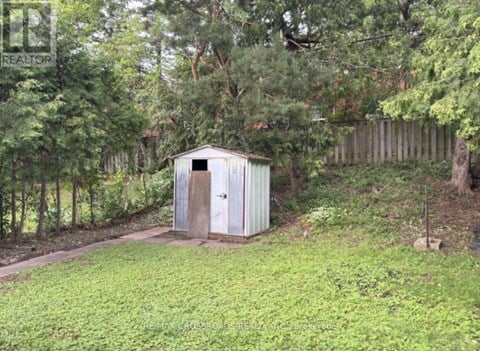 A shed sits in a grassy area surrounded by trees.