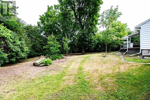 A backyard with a lawn, trees, and a house.