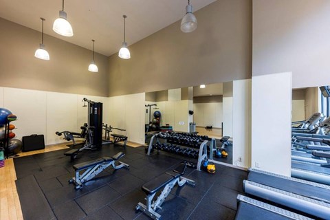 A gym with a variety of equipment including weights and treadmills.