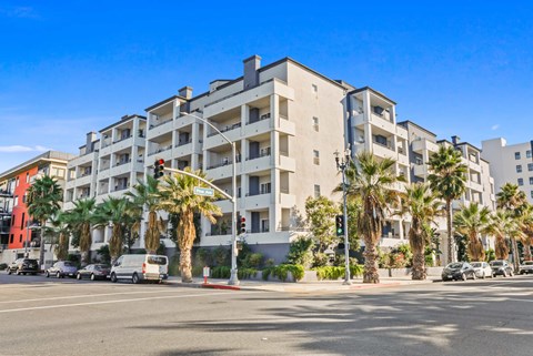 838 Pine Ave Unit 307 2 Beds Apartment for Rent