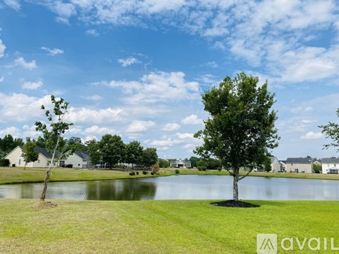 A tree stands in a grassy field next to a body of water.