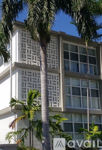 A tall palm tree stands in front of a building with a window and a sign that says "AVAILABLE".
