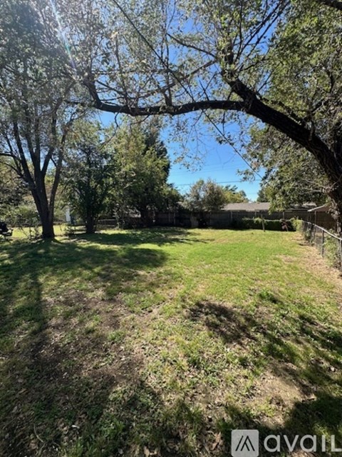 A grassy field with trees and a fence in the background.