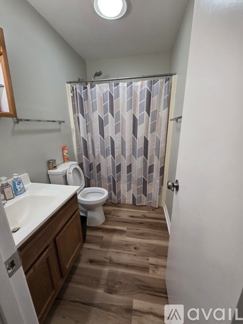 A bathroom with a toilet, sink, and shower curtain.