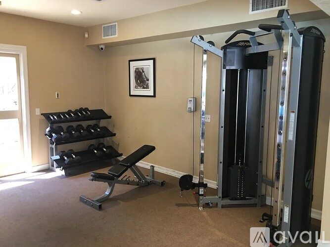 A home gym with a bench, weights, and a squat rack.