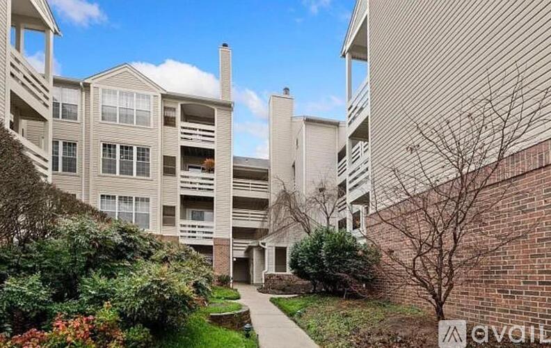 244 South Reynolds Street 1 Condo for Rent - Photo gallery 3