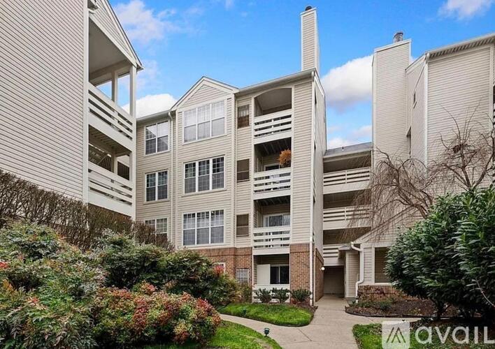 244 South Reynolds Street 1 Condo for Rent - Photo gallery 4