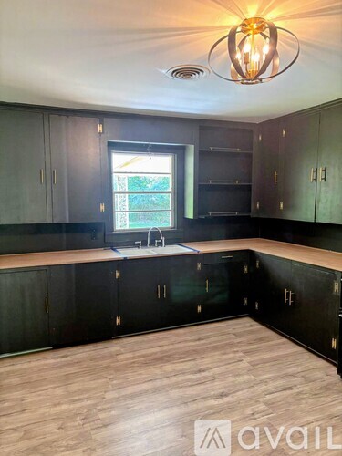 1239 Carson St 3 Beds Single Family Home for Rent - Photo gallery 4