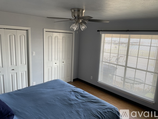 A bedroom with a bed, ceiling fan, and two doors.