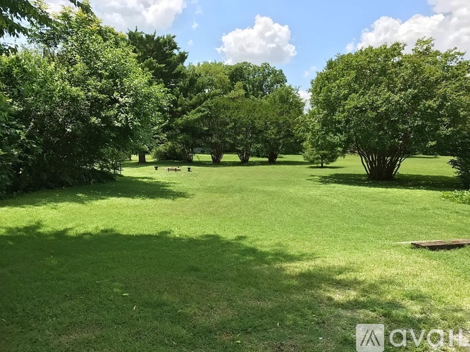 A grassy field with trees in the background and a clear blue sky.