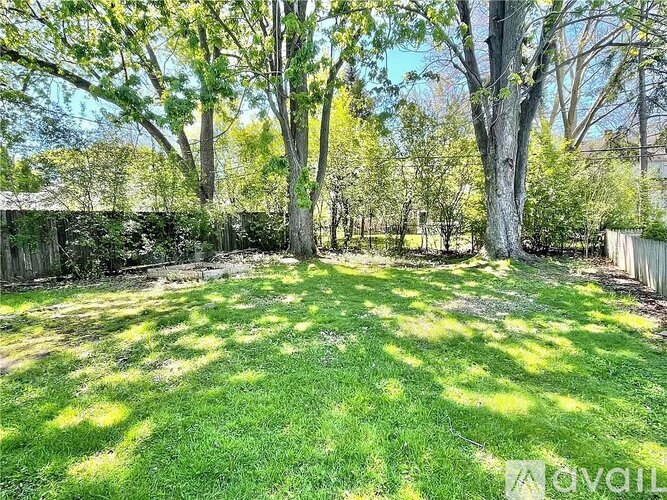 A backyard with a lawn and trees.