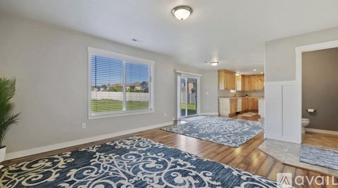 A living room with a large rug and a potted plant.