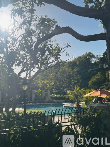 A pool surrounded by trees and bushes with a lamp post in the foreground.