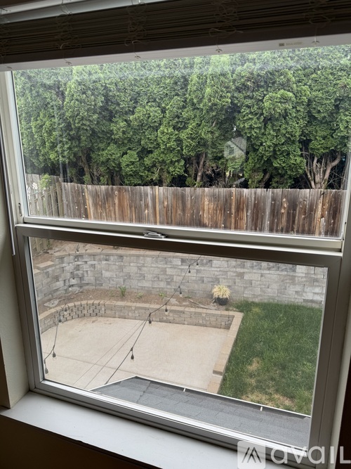 A view from a window looking out to a backyard with a pool and a wooden fence.