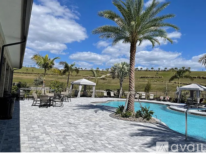 A pool area with a palm tree and a white gazebo.