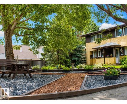 A tree in a backyard with a picnic table and a house in the background.