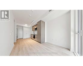 A spacious room with wooden flooring and white walls, featuring a built-in cabinet system.
