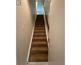 A long staircase with a light switch on the wall.