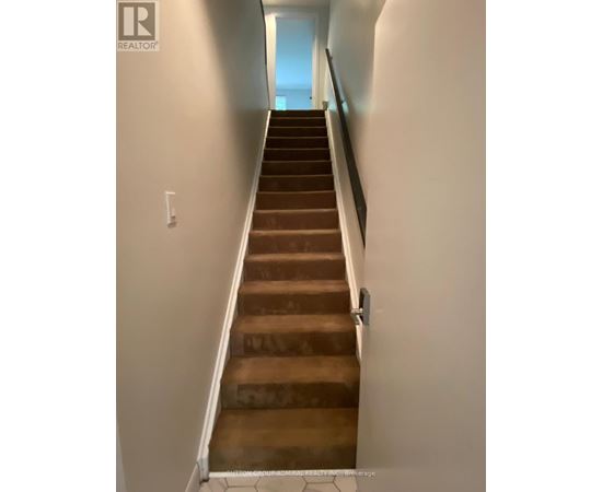 A long staircase with a light switch on the wall.