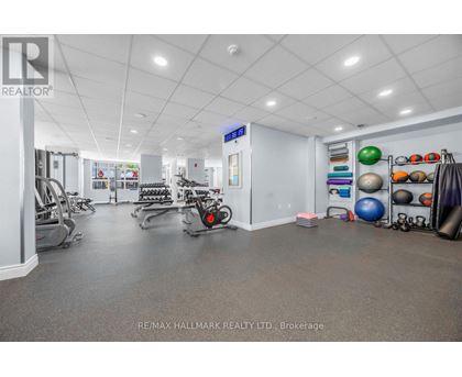 A gym with a variety of equipment including treadmills, weights, and exercise balls.