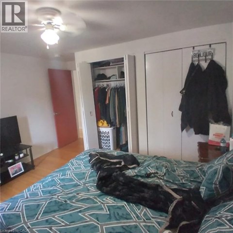 A bedroom with a bed, a TV, a wardrobe and a dog.