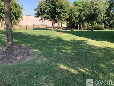 A grassy field with a tree in the center and a fence in the background.