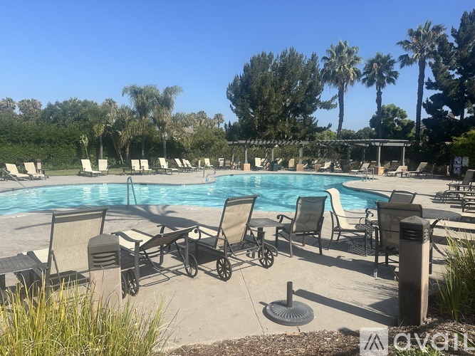A pool area with chairs and palm trees.