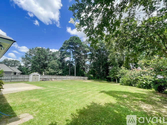 504 Jasmine Trail 4 Beds Single Family Home for Rent - Photo gallery 4