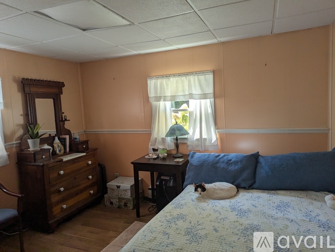 A cat is sitting on a bed in a bedroom.