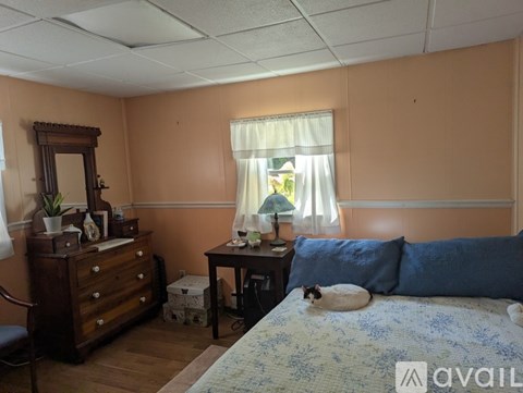 A cat is sitting on a bed in a bedroom.