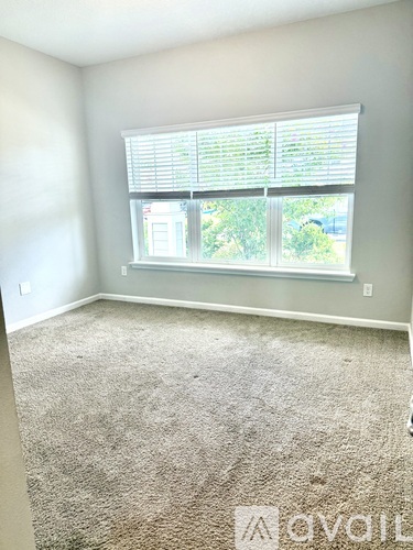 142 Ness Cir 4 Beds Single Family Home for Rent - Photo gallery 5