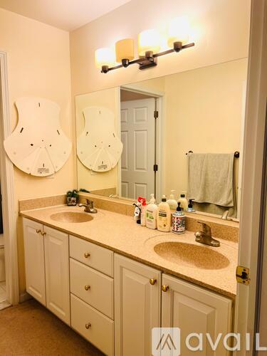 2914 Leslie Park Circle 3 Beds Single Family Home for Rent - Photo gallery 4