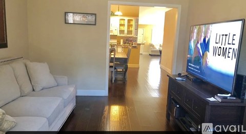 A living room with a white couch and a television displaying the show Little Women.