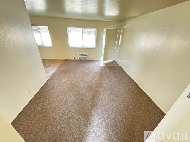 A spacious room with brown carpeting and white walls.