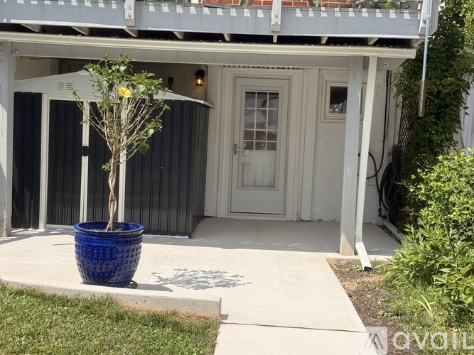 A small tree in a blue pot is in front of a white door.