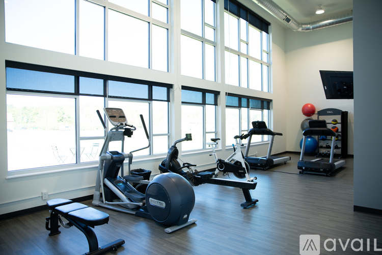 A gym with a row of treadmills and elliptical machines.