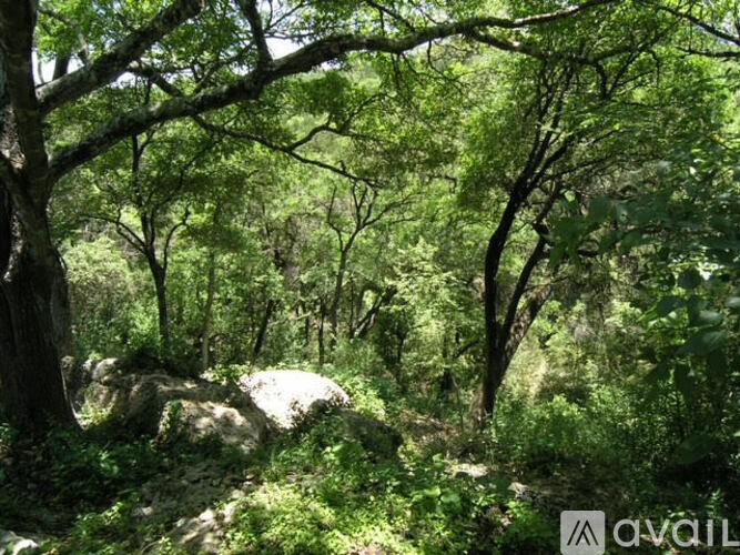 513 Cuernavaca Dr N 3 Beds Townhouse for Rent - Photo gallery 3