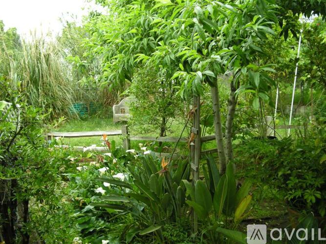 A lush green garden with a variety of plants and trees.