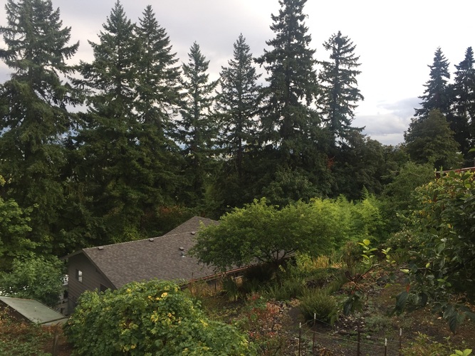 4138 Southwest 4th Avenue 4 Beds Single Family Home for Rent - Photo gallery 3