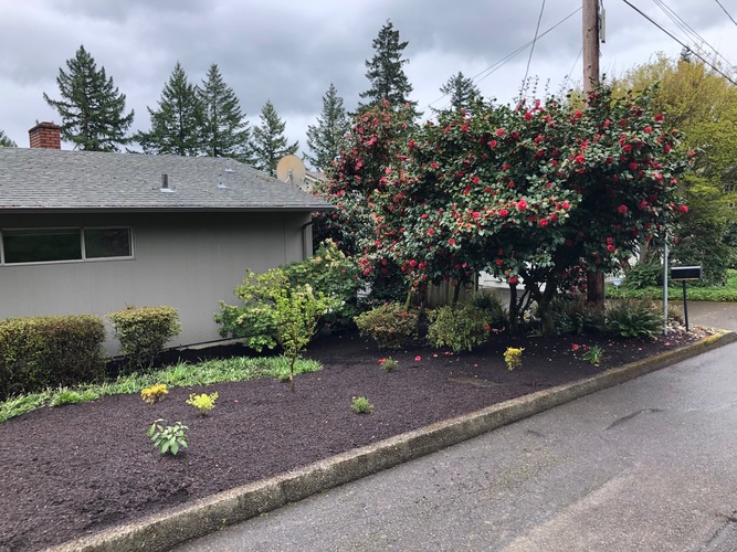 4138 Southwest 4th Avenue 4 Beds Single Family Home for Rent - Photo gallery 4