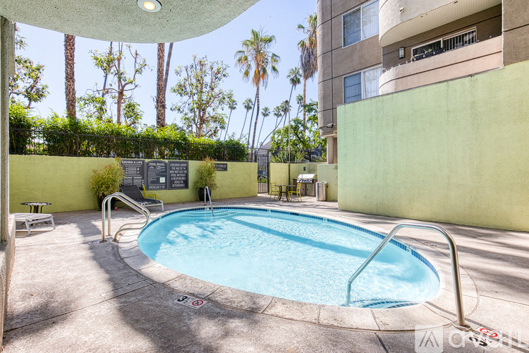 A small pool with a metal ladder and a metal rail.
