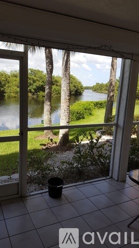 A view of a palm tree through a window.