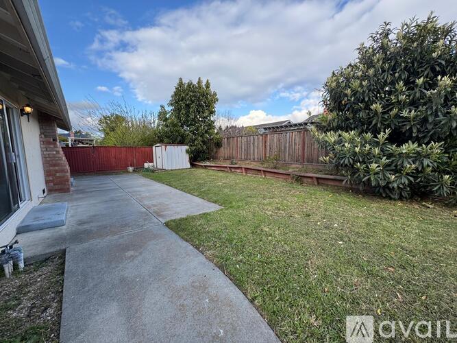 A backyard with a concrete walkway, green grass, and a wooden fence.