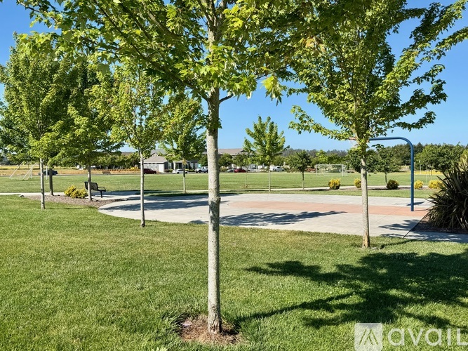 A tree in a grassy area with a clear blue sky.