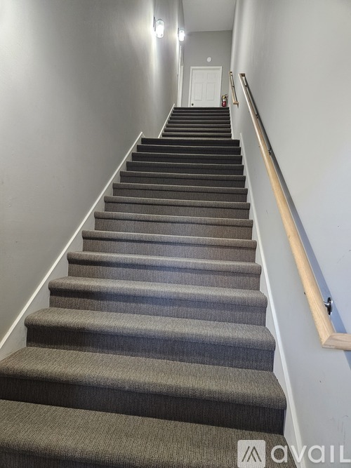 A staircase with a carpeted runner and wooden handrail.