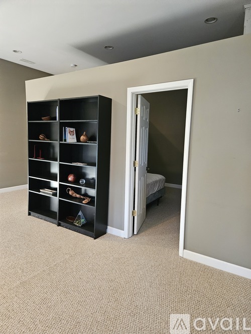 A room with a black bookshelf and a white door.
